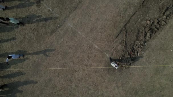 Drohnenschuss Von Ochsenkarren Rennen Anlässlich Des Erntefestes Ochsenkarren Rennen Ist — Stockvideo