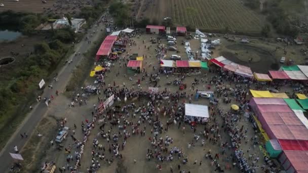 Drone Tiro Corrida Carrinho Bullock Por Ocasião Festival Colheita Corrida — Vídeo de Stock