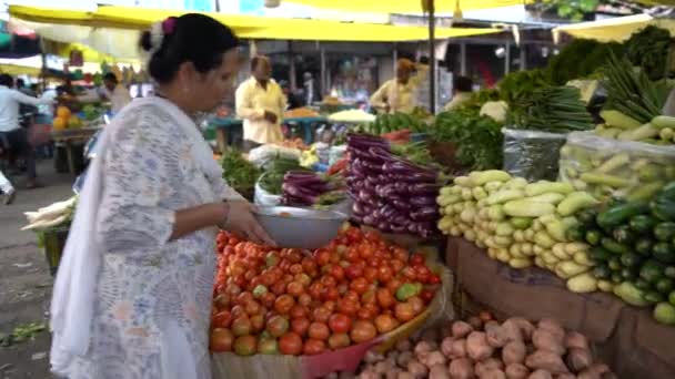Nagpur Maharashtra India Febrero 2024 Vendedor Verduras Mercado Callejero Ciudad — Vídeos de Stock