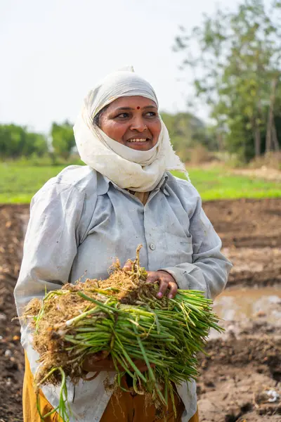 Nagpur Maharashtra Índia Fevereiro 2024 Mulheres Agricultoras Indianas Plantando Mudas Imagem De Stock