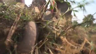 AMRAVATI, MAHARASHTRA, INDIA, 30 Ekim 2020: Hintli çiftçi traktörle tarla ekmeye hazırlanıyor..