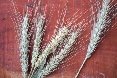 Tahta masada buğday kulağı, sağlıklı gıda konsepti..