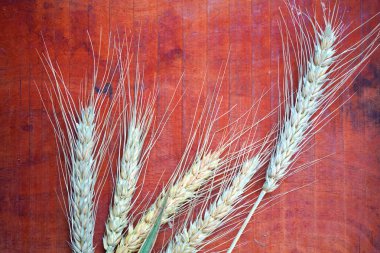 Tahta masada buğday kulağı, sağlıklı gıda konsepti..