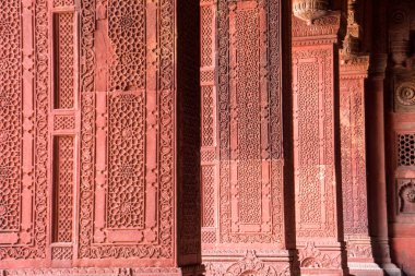 Geometrik desen ve Kırmızı Kale 'nin dekoratif ayrıntıları. Agra, UNESCO Dünya Mirası.
