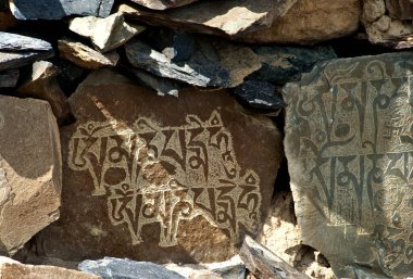 Hindistan 'ın manikür duvarı Ladakh denilen taşların üzerine oyulmuş Tibet mantrası.
