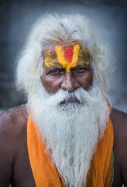 NASHIK, INDIA, 27 Ağustos 2015: Kumbh Mela 'daki kutsal adam Hindu sadhus' un portresi