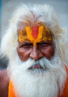 NASHIK, INDIA, 27 Ağustos 2015: Kumbh Mela 'daki kutsal adam Hindu sadhus' un portresi
