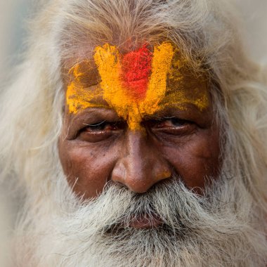 NASHIK, INDIA, 27 Ağustos 2015: Kumbh Mela 'daki kutsal adam Hindu sadhus' un portresi