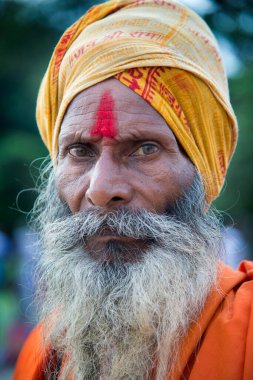 NASHIK, INDIA, 27 Ağustos 2015: Kumbh Mela 'daki kutsal adam Hindu sadhus' un portresi