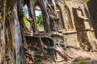 Andaman ve Nicobar Adaları 'ndaki Ross Adası' nda İngilizlerin kullandığı terk edilmiş ve harap bir ev.