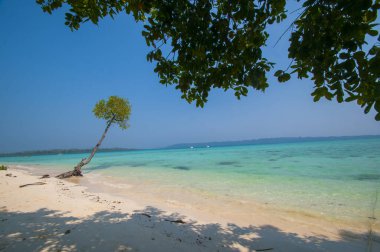 Andaman ve Nicobar Adaları Plajı, Hindistan