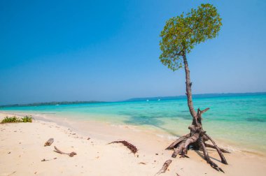 Andaman ve Nicobar Adaları Plajı, Hindistan