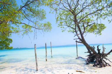 Andaman ve Nicobar Adaları Plajı, Hindistan