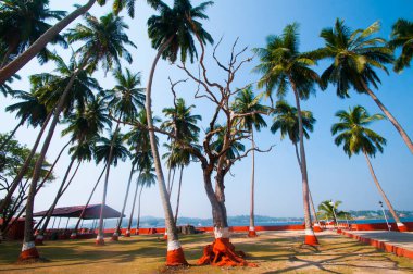 Ross Adası, Port Blair, Andaman ve Nicobar, Hindistan.