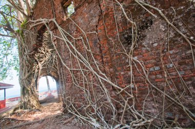 Andaman ve Nicobar Adaları 'ndaki Ross Adası' nda İngilizlerin kullandığı terk edilmiş ve harap bir ev.
