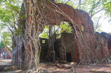 Andaman ve Nicobar Adaları 'ndaki Ross Adası' nda İngilizlerin kullandığı terk edilmiş ve harap bir ev.