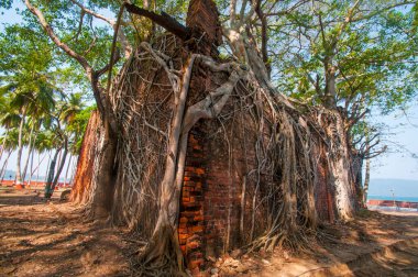 Andaman ve Nicobar Adaları 'ndaki Ross Adası' nda İngilizlerin kullandığı terk edilmiş ve harap bir ev.
