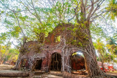 Andaman ve Nicobar Adaları 'ndaki Ross Adası' nda İngilizlerin kullandığı terk edilmiş ve harap bir ev.