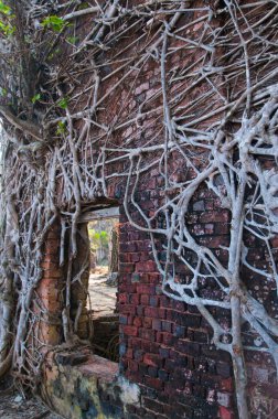 Andaman ve Nicobar Adaları 'ndaki Ross Adası' nda İngilizlerin kullandığı terk edilmiş ve harap bir ev.