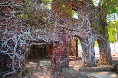 Andaman ve Nicobar Adaları 'ndaki Ross Adası' nda İngilizlerin kullandığı terk edilmiş ve harap bir ev.