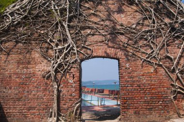 Terk edilmiş koloni mimarisi Ross Adası, Andaman ve Nicobar takımadalarında büyük ağaç kökleri ile kaplıydı.