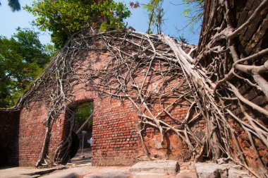 Andaman ve Nicobar Adaları 'ndaki Ross Adası' nda İngilizlerin kullandığı terk edilmiş ve harap bir ev.