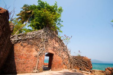 Andaman ve Nicobar Adaları 'ndaki Ross Adası' nda İngilizlerin kullandığı terk edilmiş ve harap bir ev.