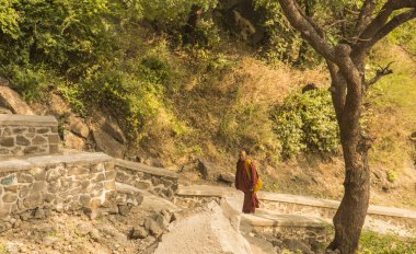 Budist keşiş, Hindistan 'daki Aurangabad Mağaralarını ziyaret etti.