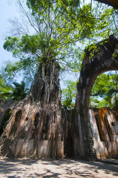 Andaman ve Nicobar Adaları 'ndaki Ross Adası' nda İngilizlerin kullandığı terk edilmiş ve harap bir ev.