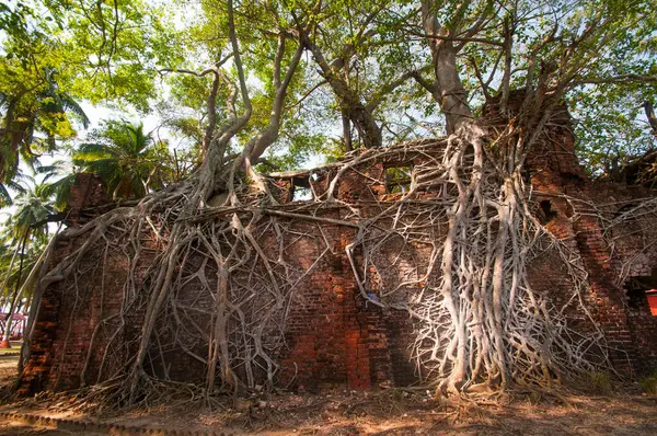 Andaman ve Nicobar Adaları 'ndaki Ross Adası' nda İngilizlerin kullandığı terk edilmiş ve harap bir ev.