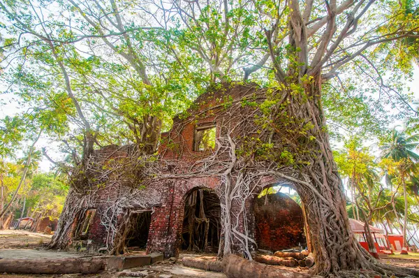 Andaman ve Nicobar Adaları 'ndaki Ross Adası' nda İngilizlerin kullandığı terk edilmiş ve harap bir ev.