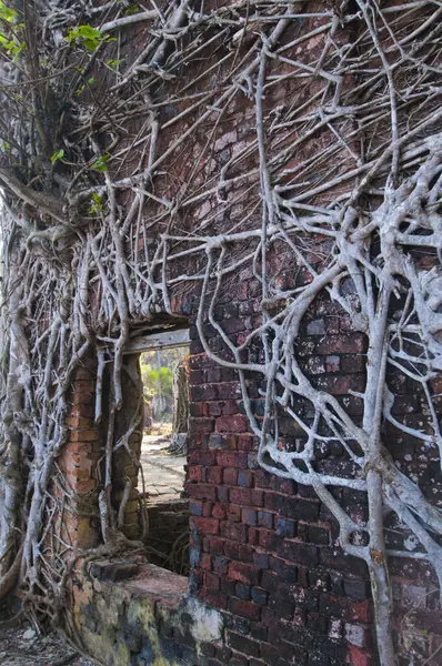 Andaman ve Nicobar Adaları 'ndaki Ross Adası' nda İngilizlerin kullandığı terk edilmiş ve harap bir ev.