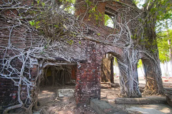 Andaman ve Nicobar Adaları 'ndaki Ross Adası' nda İngilizlerin kullandığı terk edilmiş ve harap bir ev.