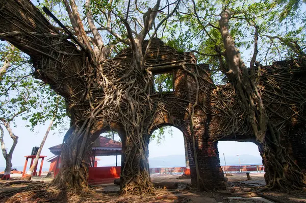 Terk edilmiş koloni mimarisi Ross Adası, Andaman ve Nicobar takımadalarında büyük ağaç kökleri ile kaplıydı.
