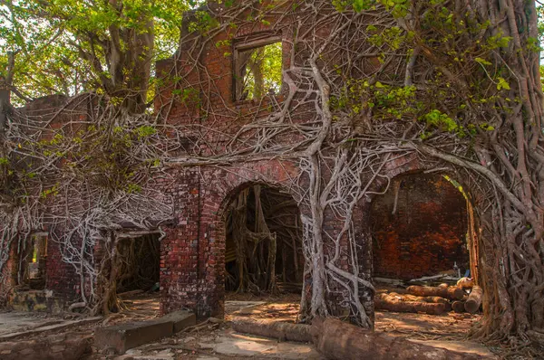 Andaman ve Nicobar Adaları 'ndaki Ross Adası' nda İngilizlerin kullandığı terk edilmiş ve harap bir ev.