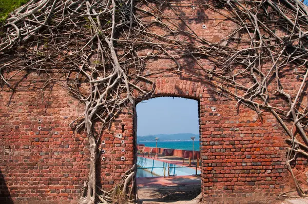 Terk edilmiş koloni mimarisi Ross Adası, Andaman ve Nicobar takımadalarında büyük ağaç kökleri ile kaplıydı.