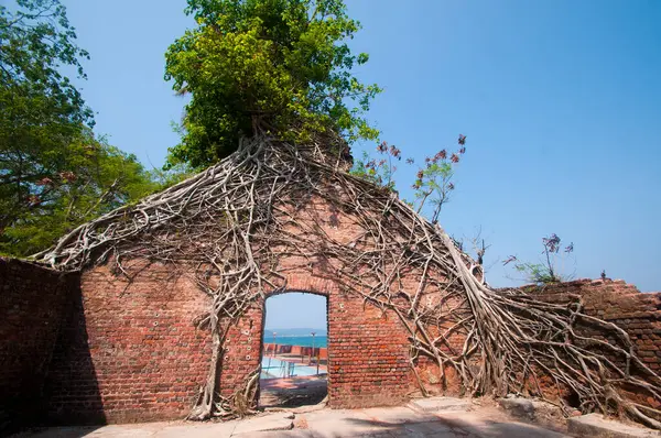 Terk edilmiş koloni mimarisi Ross Adası, Andaman ve Nicobar takımadalarında büyük ağaç kökleri ile kaplıydı.