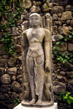 Daulatabad Kalesi, Hindistan 'da antik taş heykel.