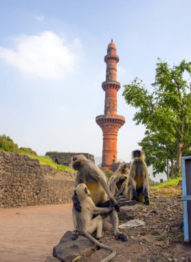 Chand Minar, Hindistan Maharashtra 'daki Daulatabad kalesinde. 1435 yılında Ala-ud-din Bahmani tarafından kale işgalini kutlamak için inşa edildi..