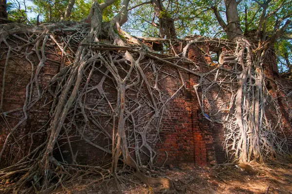 Andaman ve Nicobar Adaları 'ndaki Ross Adası' nda İngilizlerin kullandığı terk edilmiş ve harap bir ev.