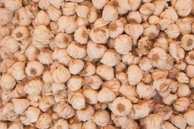 Arka planda çeşitli baharatlar ve otlar var.