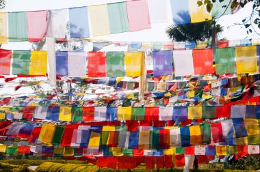 Lumbini 'nin kutsal bahçesinde dua bayrakları