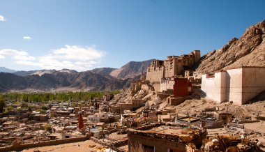 Leh Sarayı ve Namgyal Tsemo Manastırı, Ladakh
