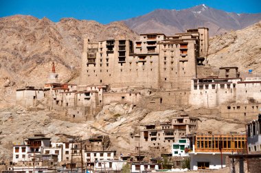 Leh Sarayı ve Namgyal Tsemo Manastırı, Ladakh