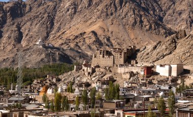 Leh Sarayı ve Namgyal Tsemo Manastırı, Ladakh