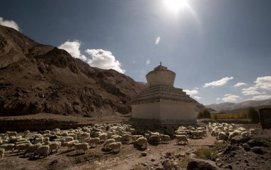 Lamayuru veya Yuru Gompa, Hindistan 'ın Batı Ladakh, Jammu ve Kashmir ilçelerinde bulunan Tibet Budist Gompa manastırıdır.