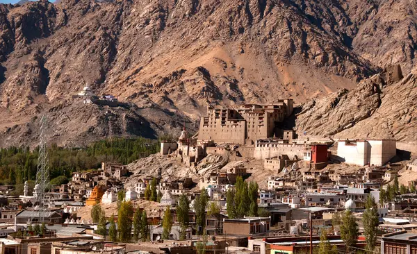 Leh Sarayı ve Namgyal Tsemo Manastırı, Ladakh