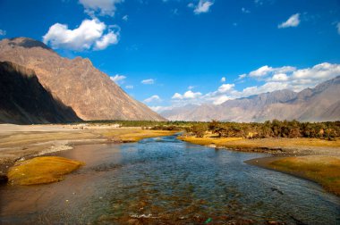 Dağ nehri manzarası, dağ deresi, Ladakh