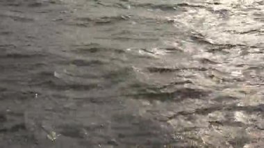 MUMBAI, MAHARASHTRA, INDIA, 9 Aralık 2024: Turistler feribot ile Hindistan 'dan Fil Mağaralarına seyahat ediyorlar. 