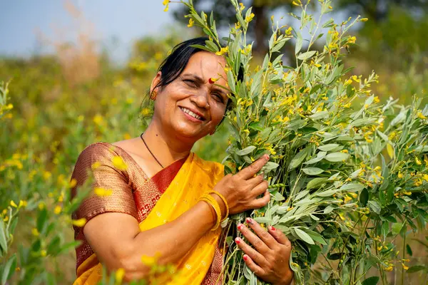 Mutlu Hintli kadın bezelye tarlasında.
